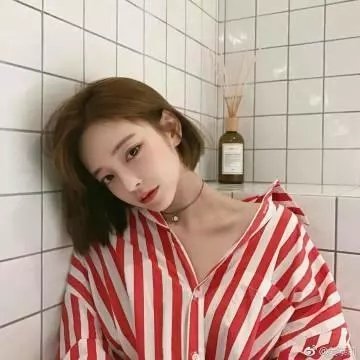 海狸
